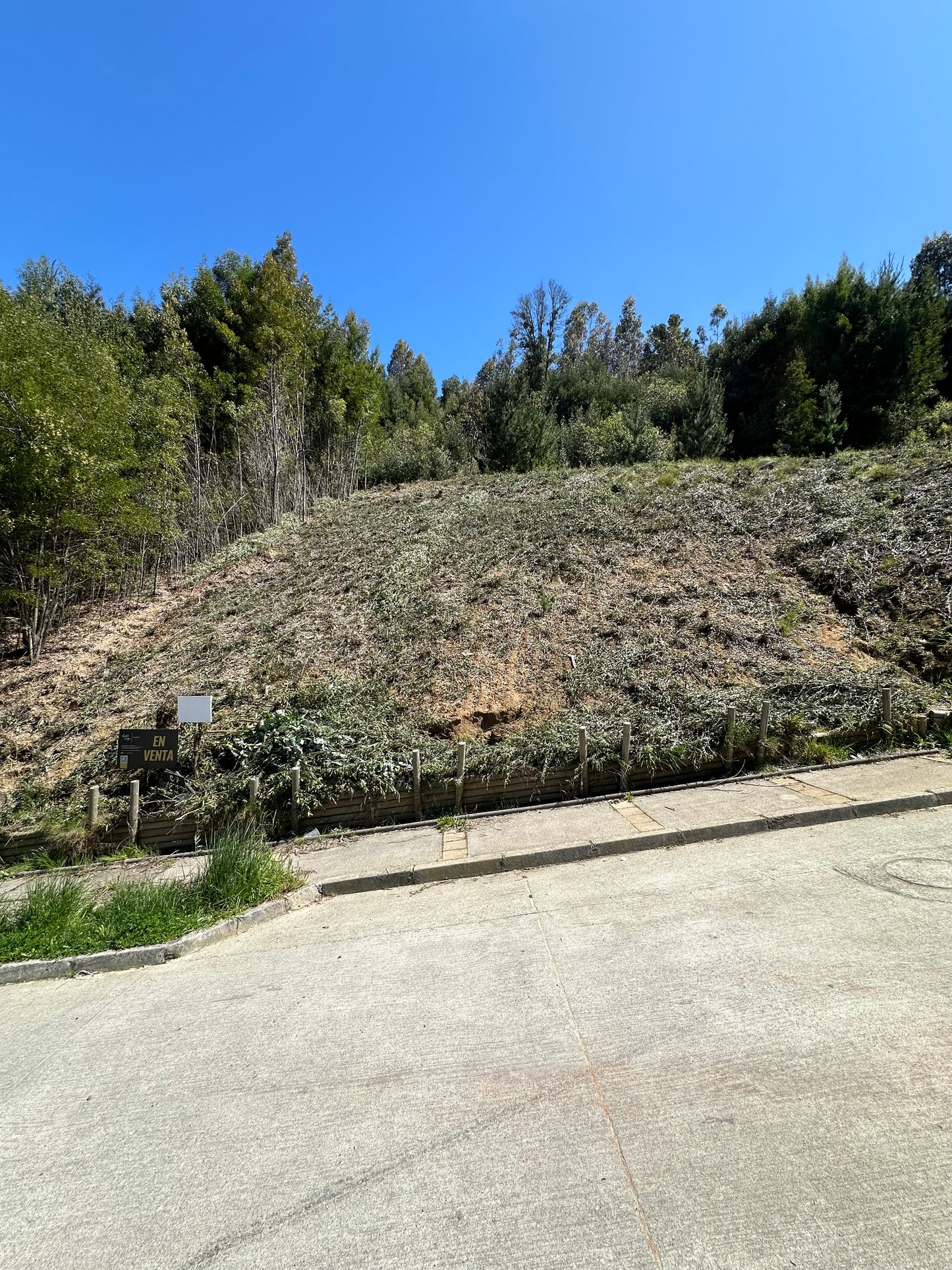 Sitio Quinta Junge C7