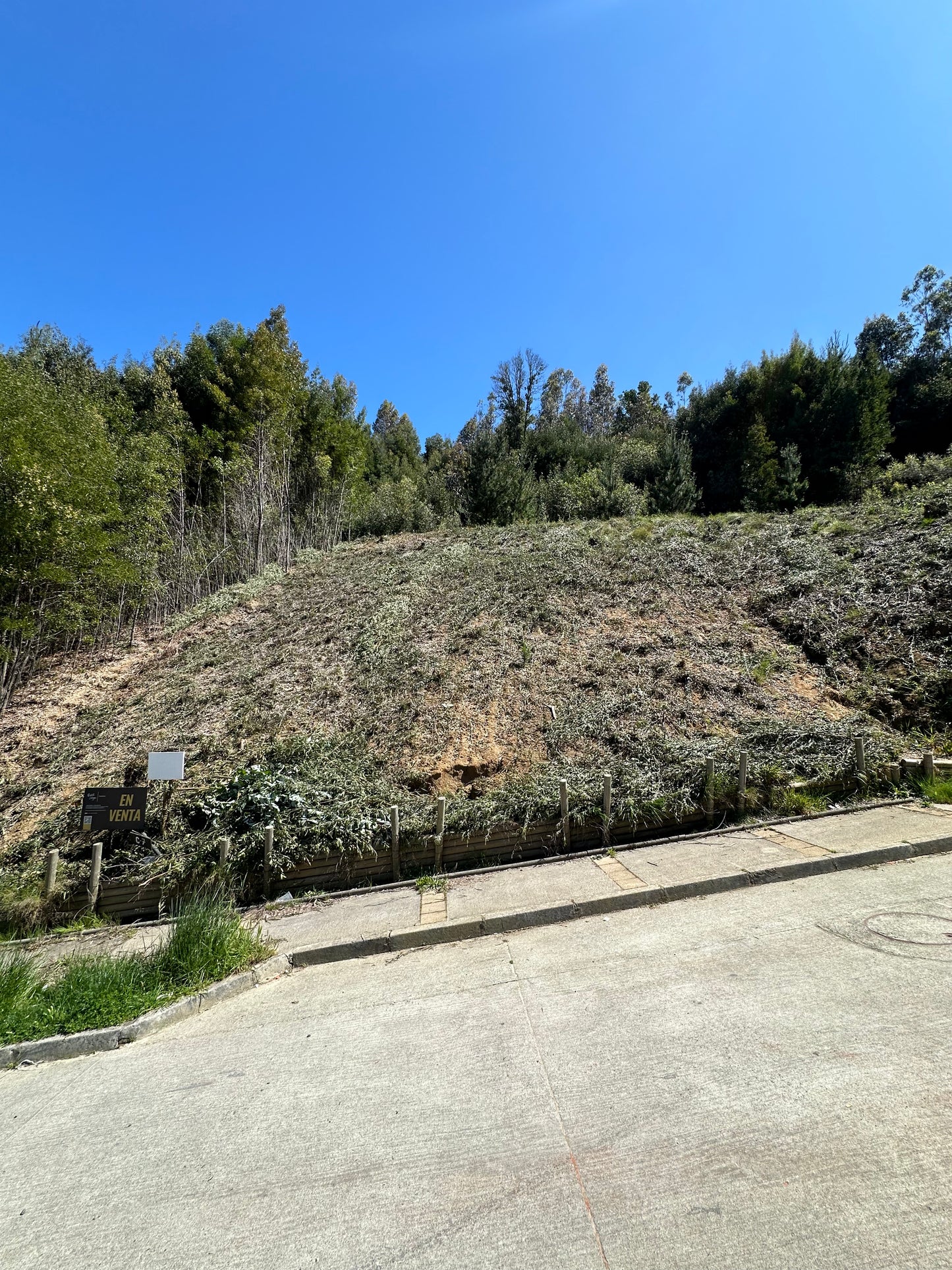 Sitio Quinta Junge C7
