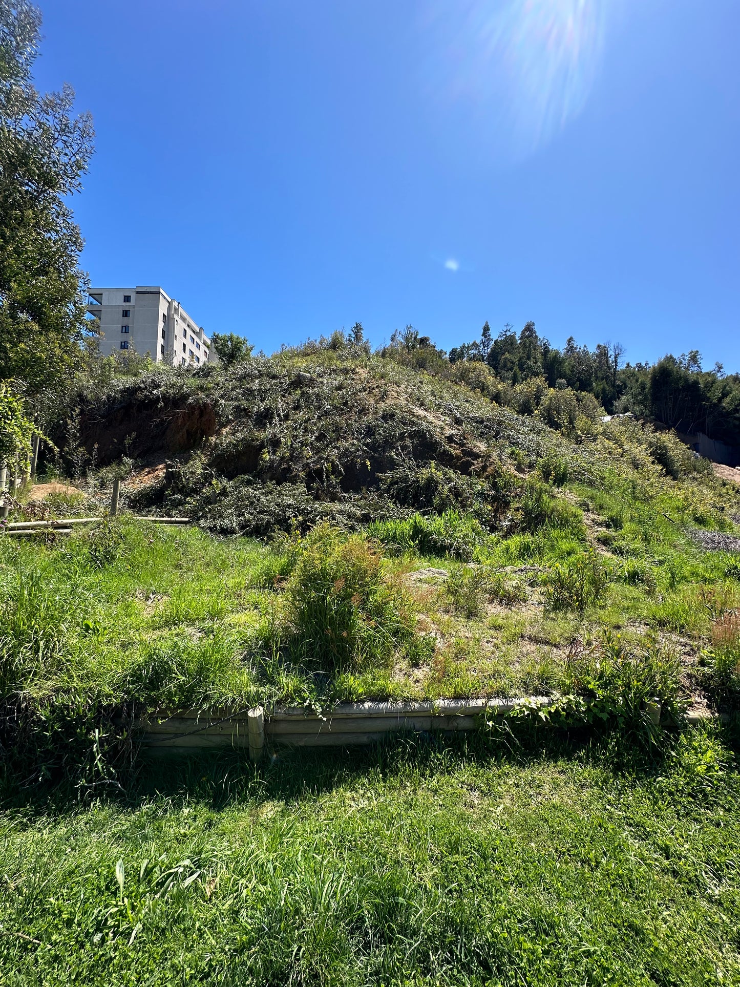 Sitio Quinta Junge C1
