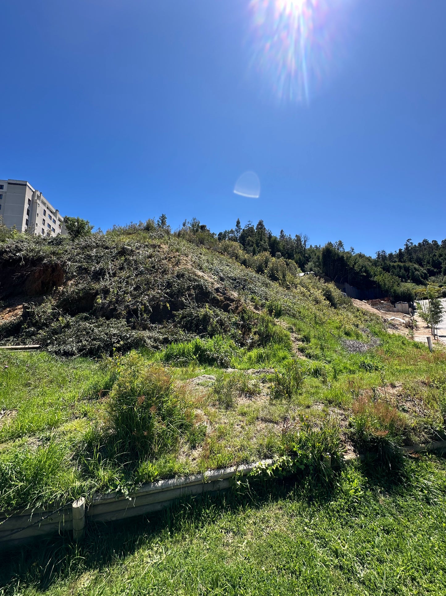 Sitio Quinta Junge C1