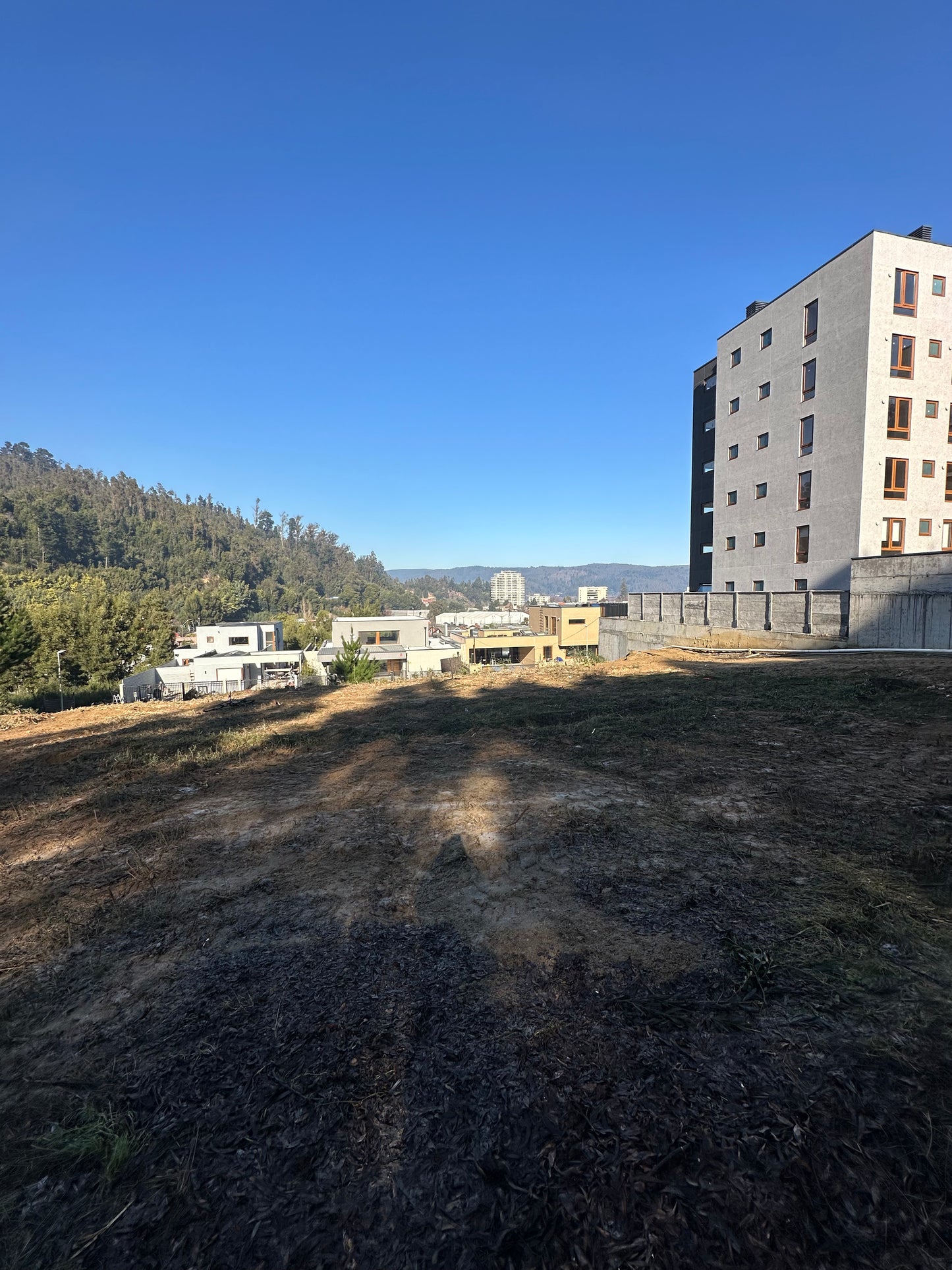 Sitio Quinta Junge D4
