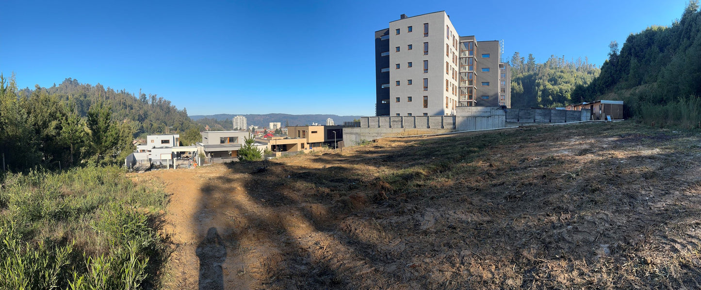 Sitio Quinta Junge D4