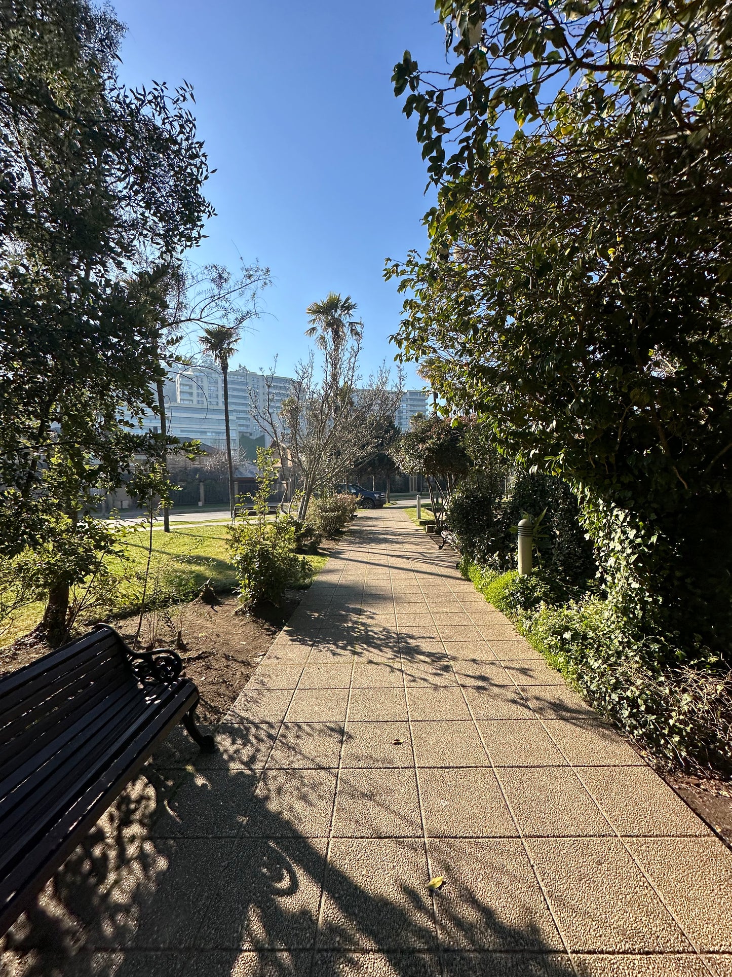 Sitio Quinta Junge C3