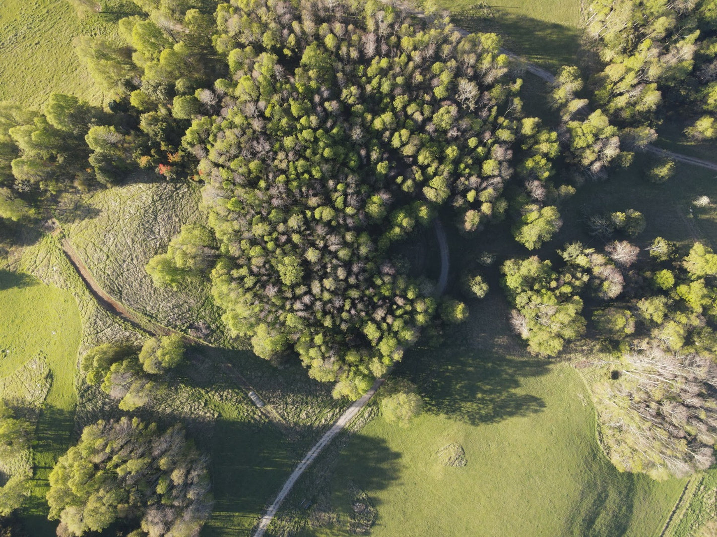 Padreras del Ranco - Plus
