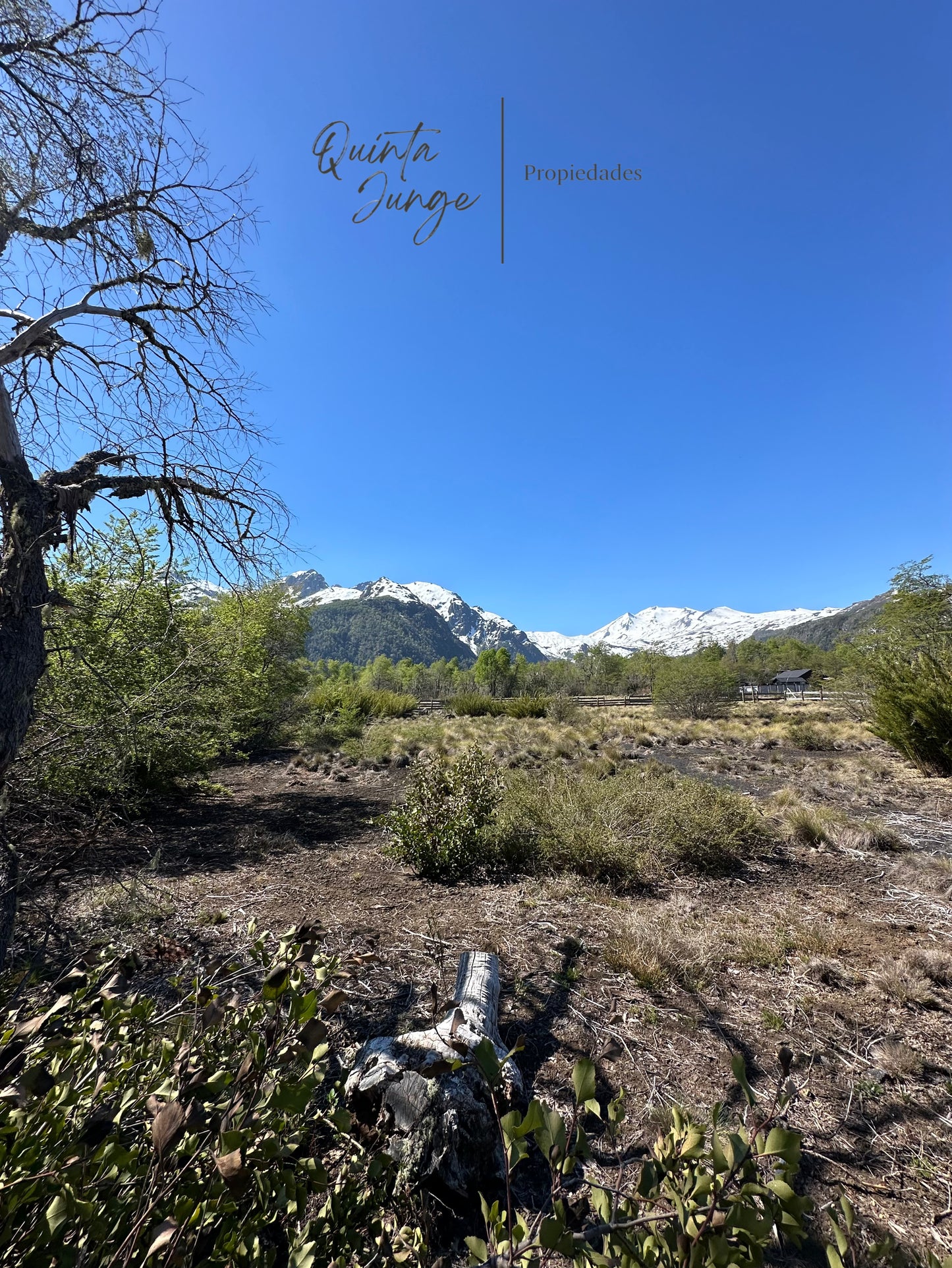 Venta Terreno 5.000 m2 Termas de Chillán. Sitio B