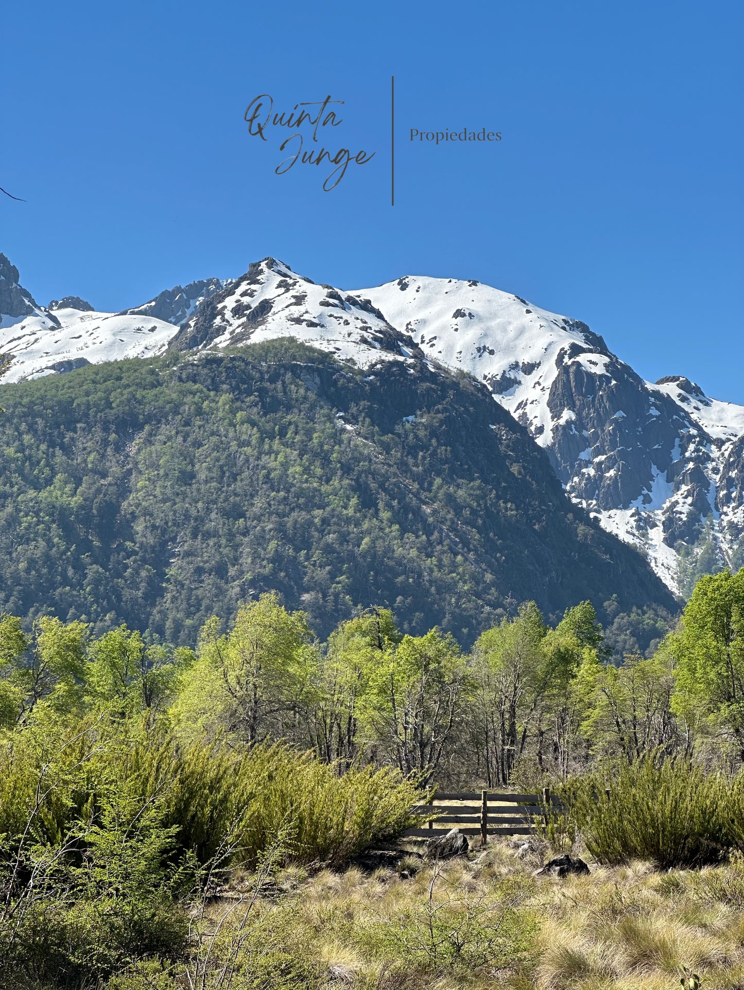 Venta Terreno 5.000 m2 Termas de Chillán. Sitio B