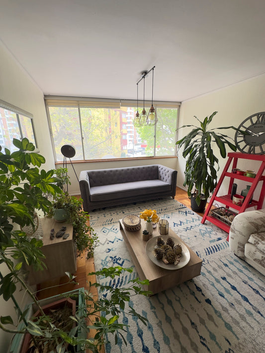 Departamento Amplio - Concepción Centro