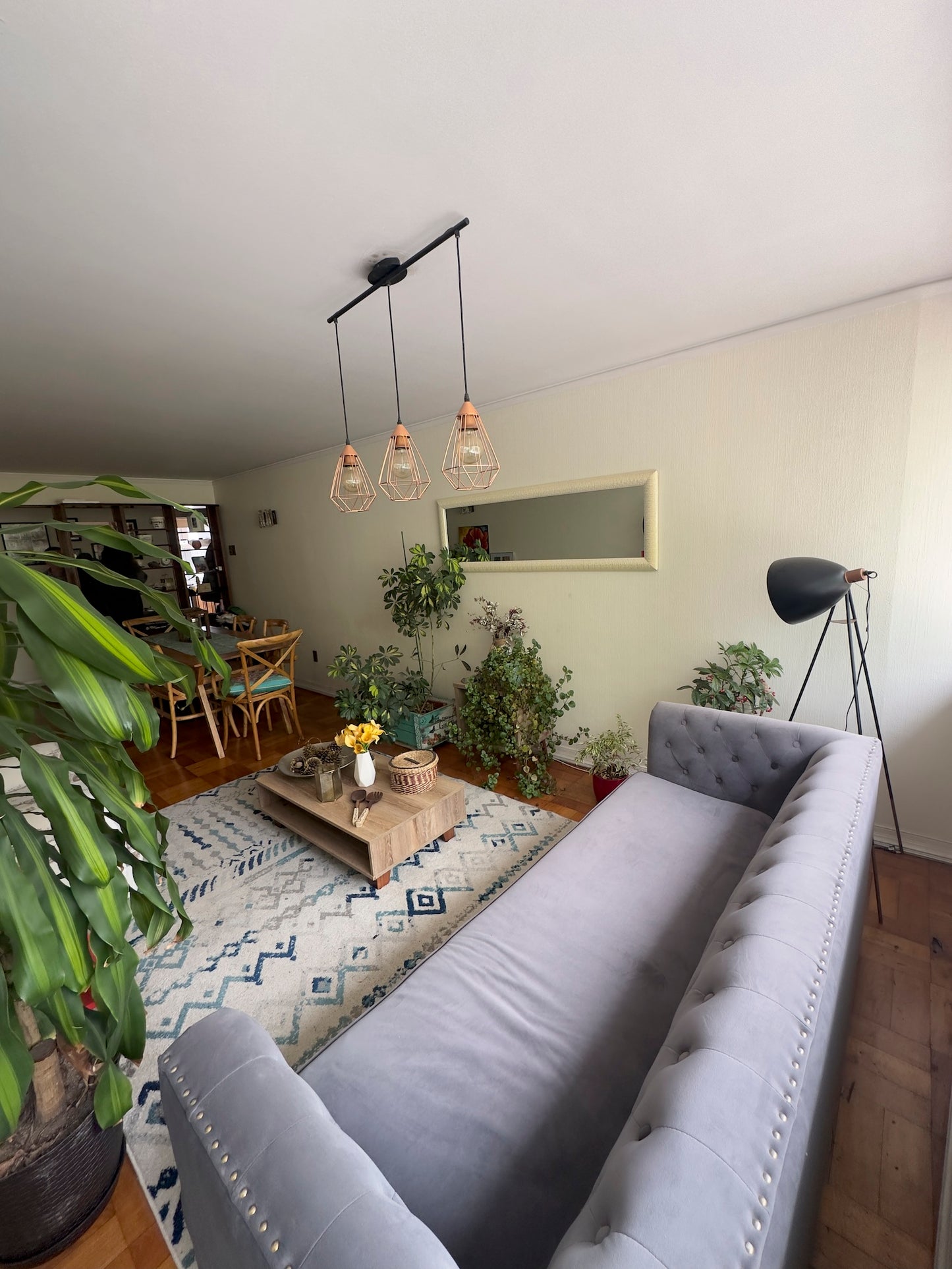 Departamento Amplio - Concepción Centro