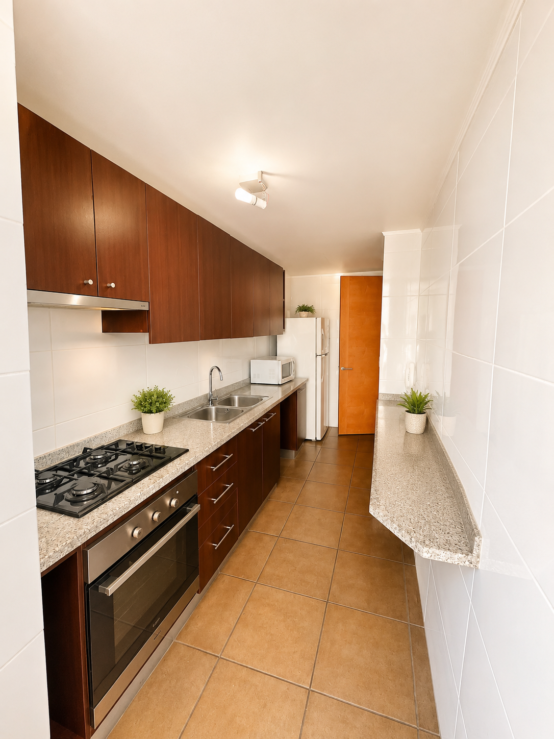 Venta Departamento Villuco