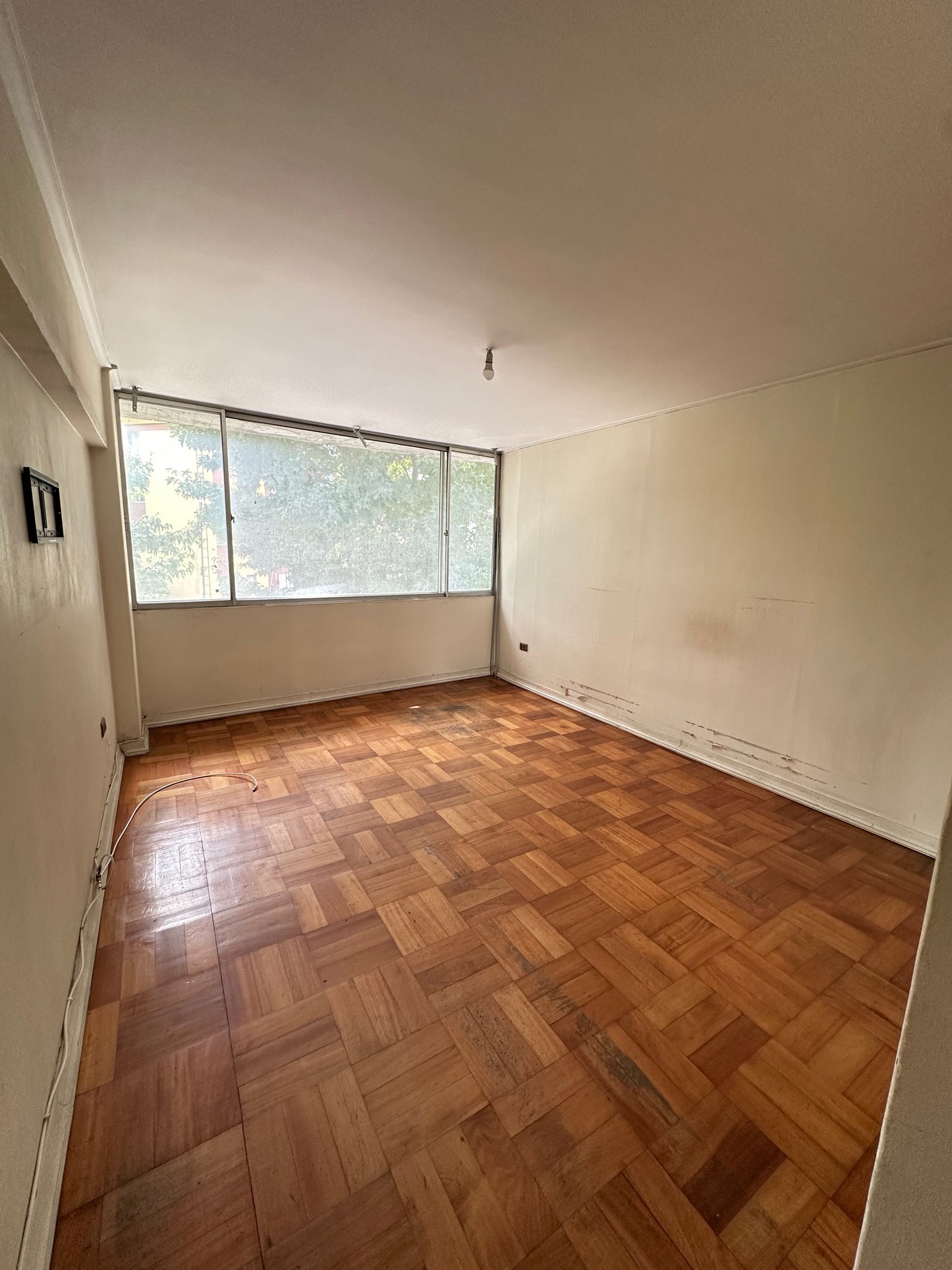 Departamento Amplio - Concepción Centro
