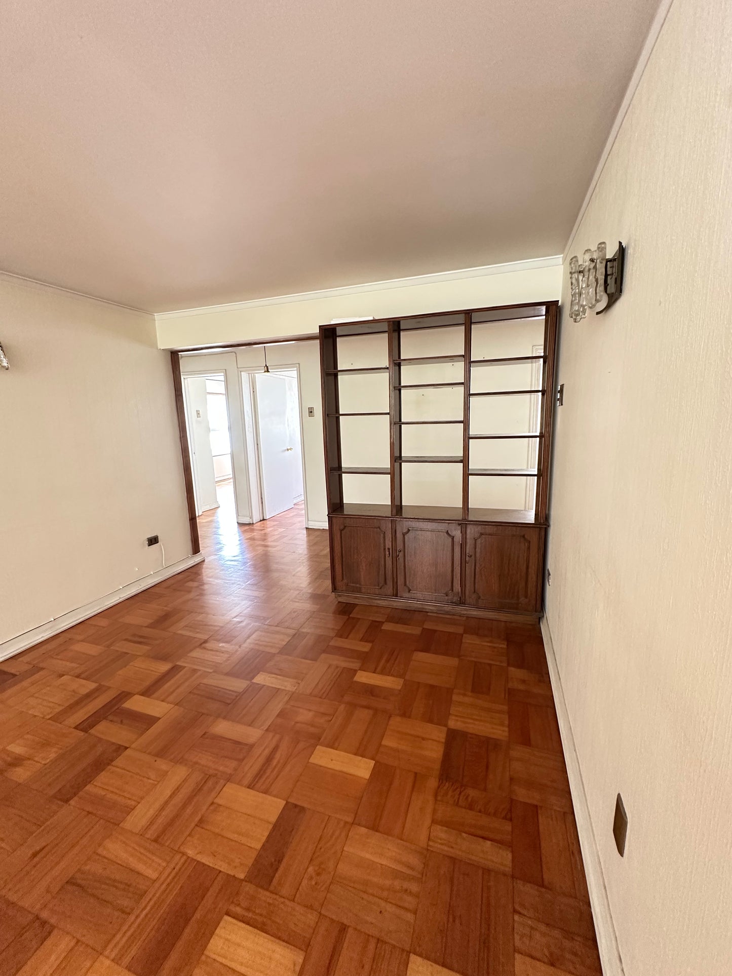 Departamento Amplio - Concepción Centro