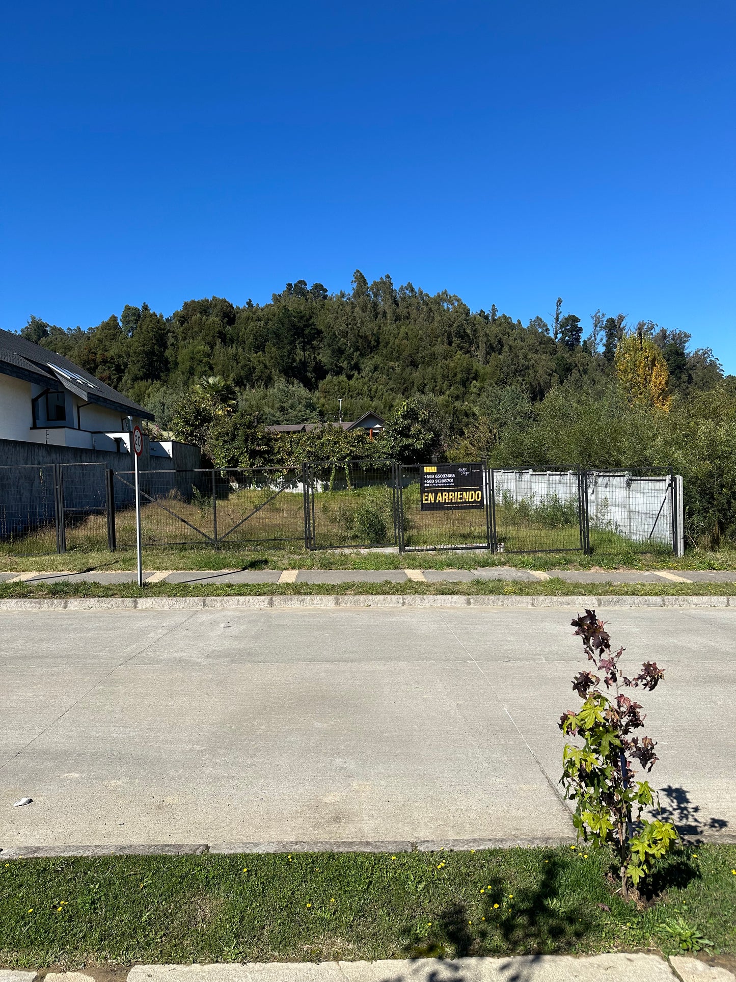 Se Arrienda Sitio Quinta Junge A8