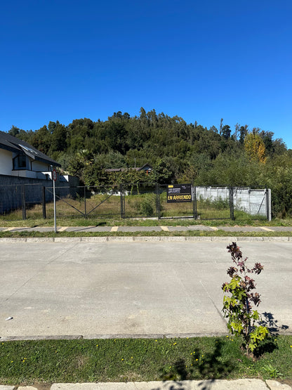 Se Arrienda Sitio Quinta Junge A8