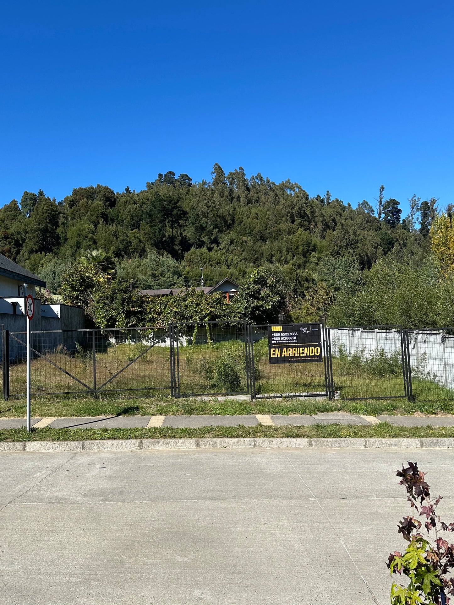 Se Arrienda Sitio Quinta Junge A8