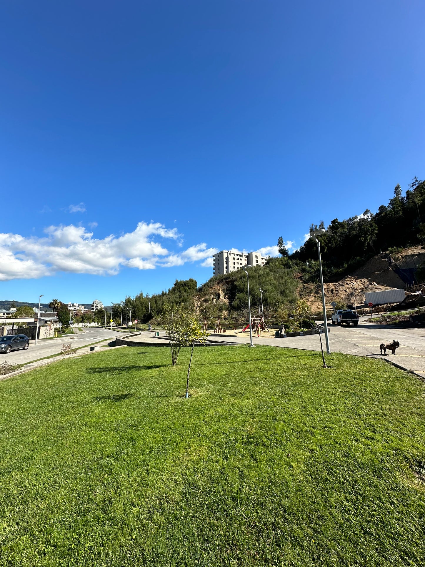 Se Arrienda Sitio Quinta Junge A8