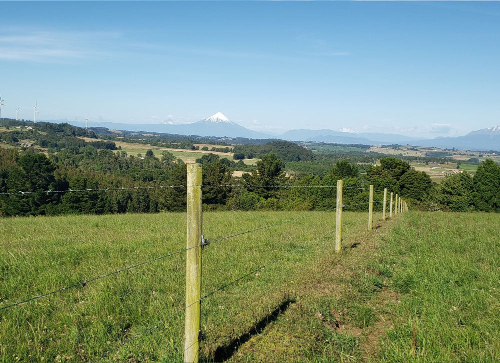 Brisas de Loncotoro - Pradera